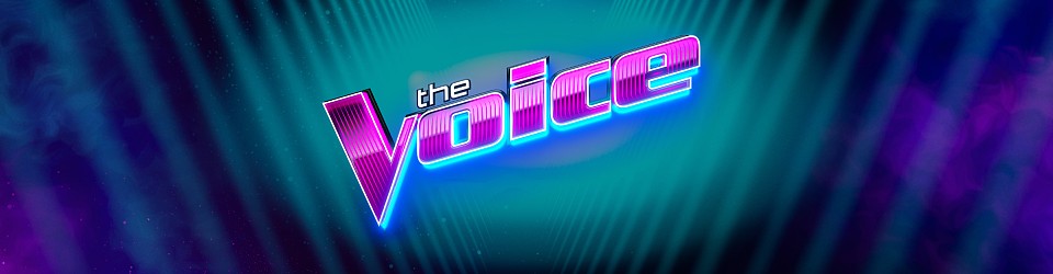 The Voice Casting